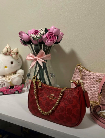 Limited Edition Mini Red Coach Bag